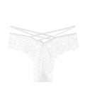 Sexy Jacquard Lace Low Rise Briefs