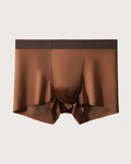 Men's Ice Silk Mulberry Silk Antibacterial Boxer Briefs