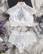 High Neck Lace Sheer Mesh Backless Bra Underwear Set