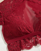 High Neck Lace Sheer Mesh Backless Bra Underwear Set