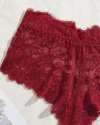 High Neck Lace Sheer Mesh Backless Bra Underwear Set