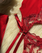 Sexy Sheer Embroidered Mesh Lingerie Set