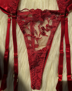 Sexy Sheer Embroidered Mesh Lingerie Set