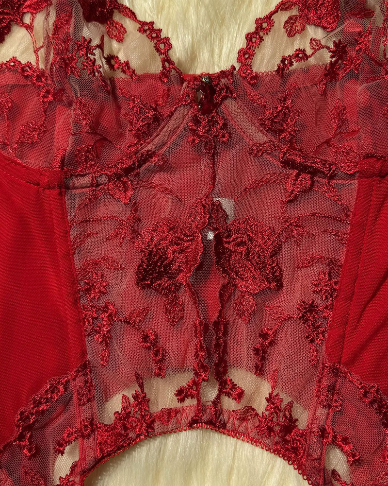 Sexy Sheer Embroidered Mesh Lingerie Set
