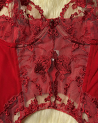 Sexy Sheer Embroidered Mesh Lingerie Set