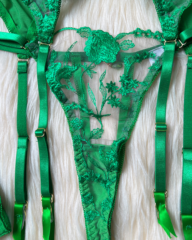 Sexy Sheer Embroidered Mesh Lingerie Set