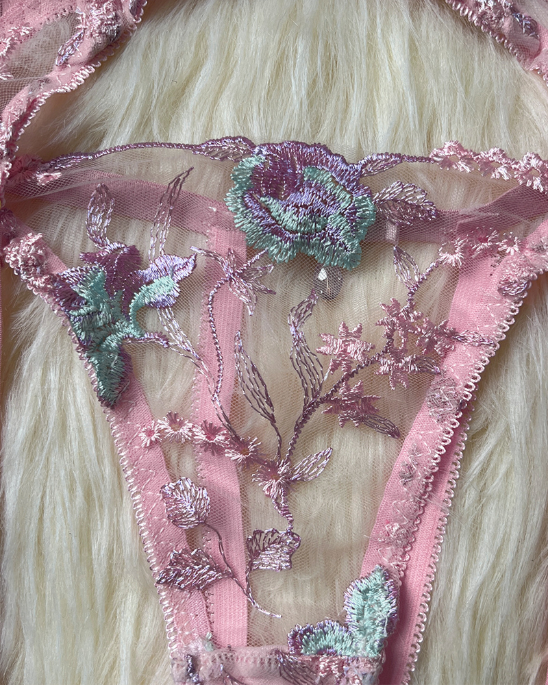 Sexy Sheer Embroidered Mesh Lingerie Set