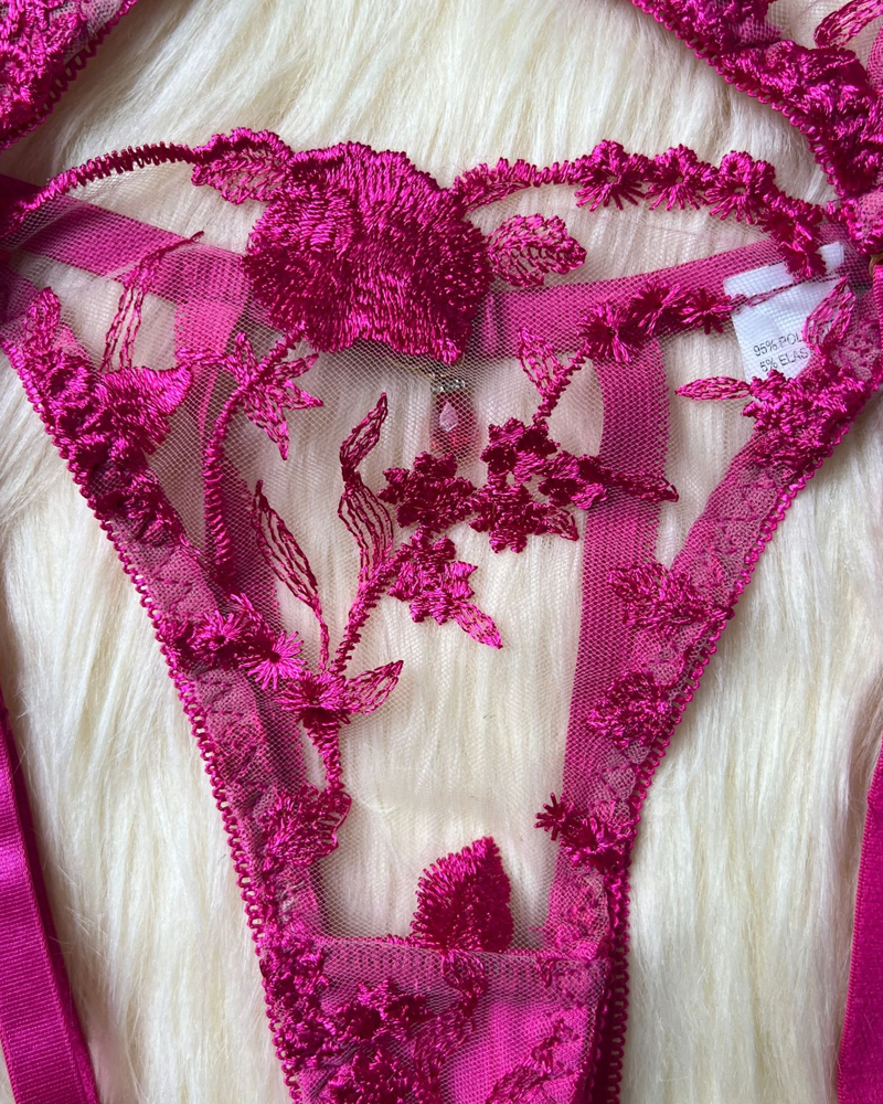 Sexy Sheer Embroidered Mesh Lingerie Set