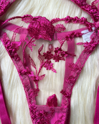 Sexy Sheer Embroidered Mesh Lingerie Set