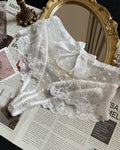 High-waisted Lace Openwork Mesh Breathable Panties