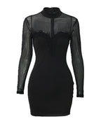 Shimmering Mesh Floral Embroidery Patchwork Round Neck Long Sleeve Bodycon Dress