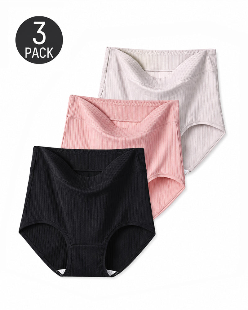 Multi-pack Plus Size High Waist Cotton Ribbed Briefs